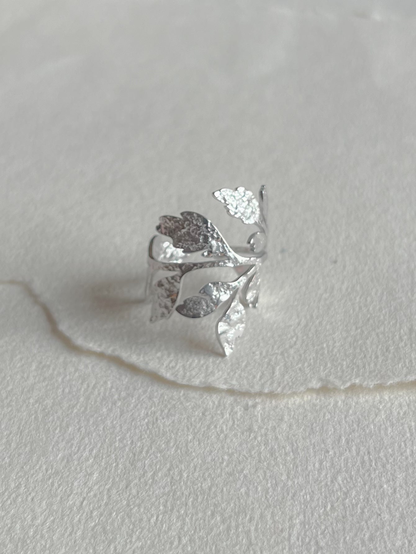 Ring // leaf stål