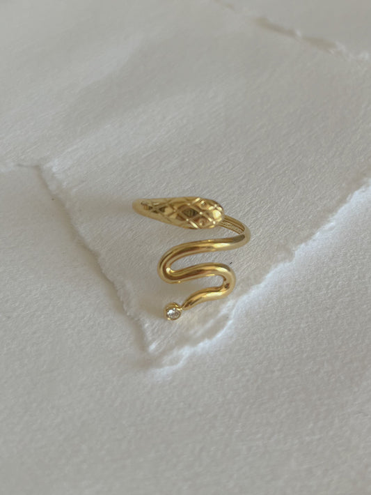 Ring // snakey