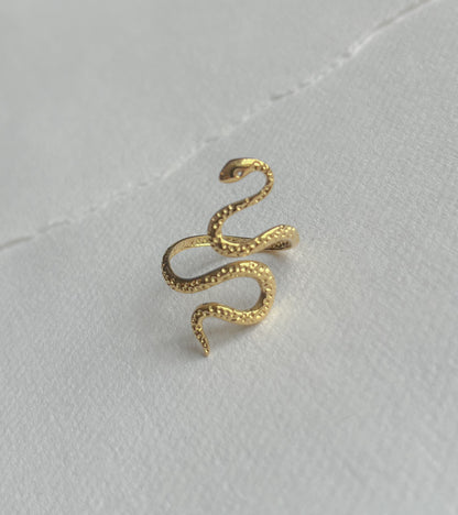 Vandfast ring // snake