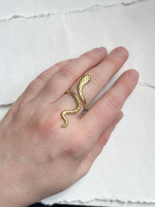 Ring // stor slange