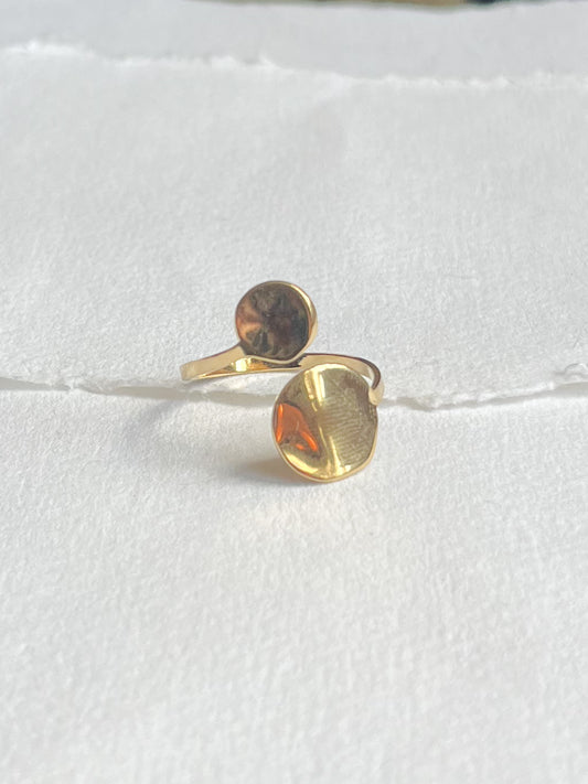 Ring // dobbelt coin