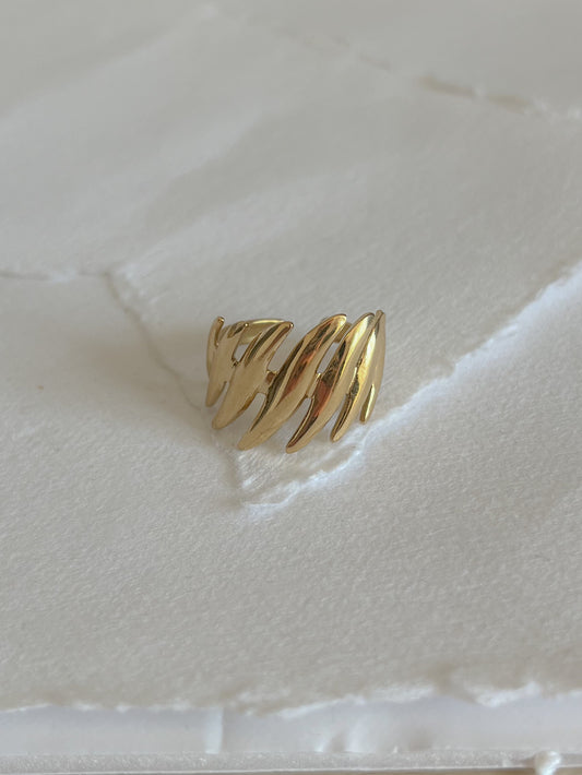 Ring // zebra