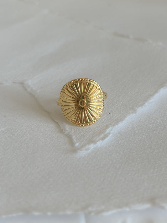 Ring // coin